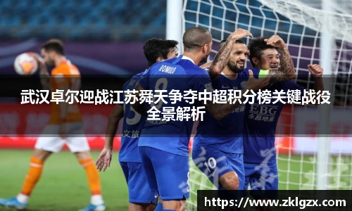 武汉卓尔迎战江苏舜天争夺中超积分榜关键战役全景解析